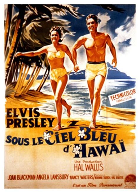 Affiche Du Film Sous Le Ciel Bleu De Hawaii Affiche 1 Sur 2 Allociné