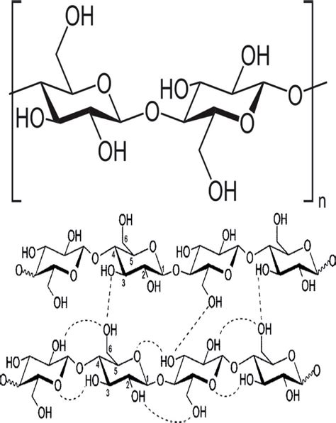 A Cellulose Structure B Hydrogen Bond Structure Of Cellulose