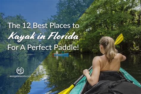 The 12 Best Places To Kayak In Florida For A Perfect Paddle Kayaking
