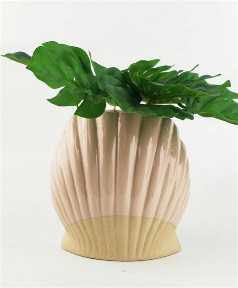 Clam Shell Planter Sproutwell Decor