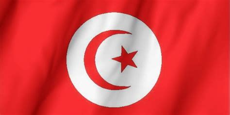 Ces derniers sont identifiables grâce à des caractéristiques spécifiques telles que le continent auquel ils appartiennent, leur drapeau, ou même leur population. Drapeau Tunisie | Rome Pratique