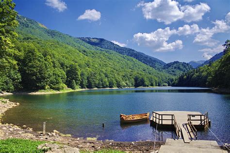 Biogradska Gora National Park Travel Montenegro Lonely Planet