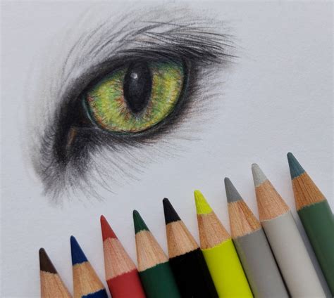 Pencil Drawing Cat Eyes Drawing Color Pencil Art Drawings