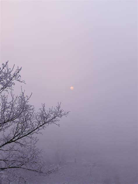 Free Images Fog Atmospheric Phenomenon Weather Mist Morning Dawn