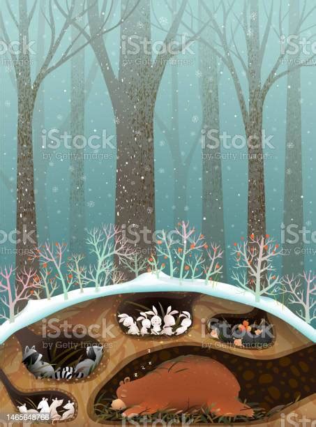 Animals Sleeping In Dens And Burrows In Forest Stock Illustration