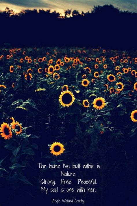 Download Sunflower Field Quote Nature Wallpaper