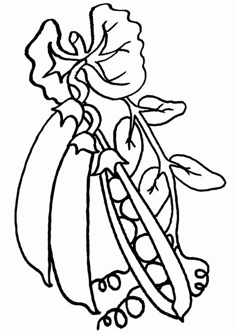 beans coloring pages coloring pages    print