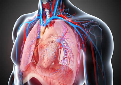 Cardio Vascular Thoracic Surgery