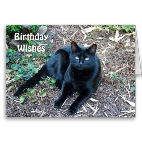 Black Cat Birthday Card 1 Cat Birthday Card Cat Cards
