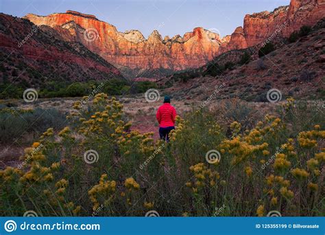 Dawn At Towers Of The Virgin Zion National Park Utah Stock Image