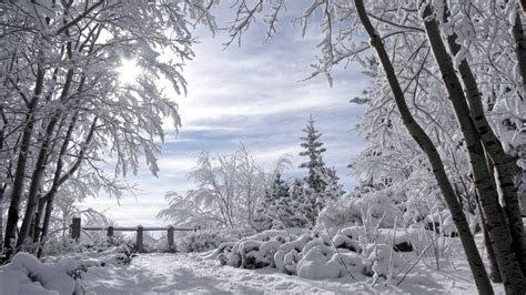 1920x1080 1920x1080 Snow Trees Winter Fence Snowdrifts Landscape