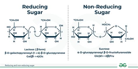 Difference Between Reducing And Non Reducing Sugar Geeksforgeeks