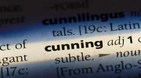 cunning definition meaning and usage in a sentence