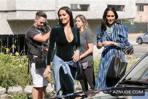 Nikki And Brie Bella Turn Heads For Their Reality Show Total Bellas