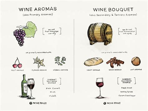 Tips On Tasting Wine Bouquet Vs Aroma Wine Folly