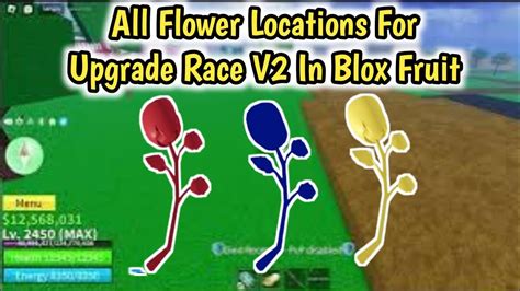 All Flower Locations In Blox Fruits To Get Race V Blox Fruits