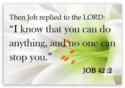 Job 421 Then Job Replied To The Lord 2 “i Know That You Can Do