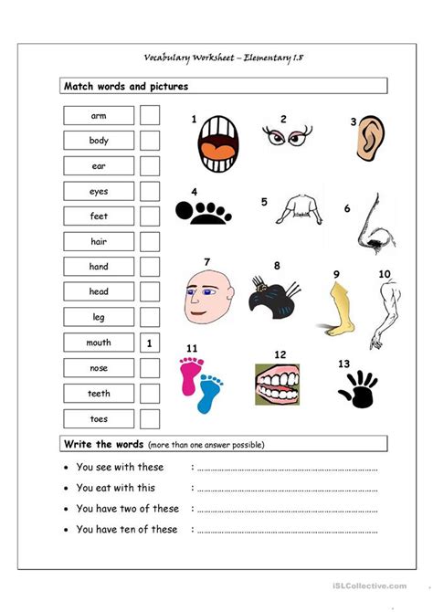vocabulary matching worksheet elementary  body parts worksheet