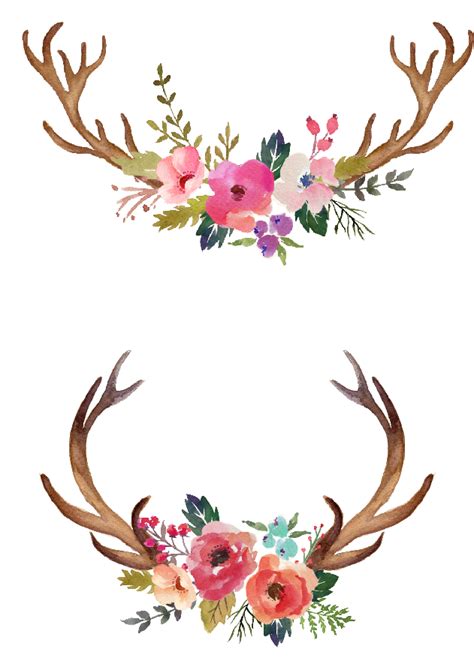 Open Full Size Watercolour Flowers Watercolor Painting Deer Antlers