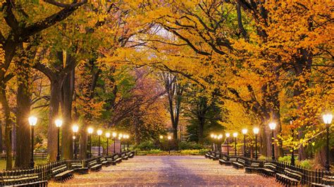 Central Park Wallpapers
