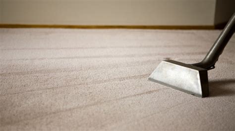 All Green Carpet Clean Same Day Carpet Cleaning Service