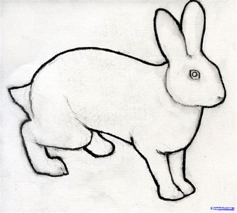 Bunny Pencil Drawing Free Download On Clipartmag