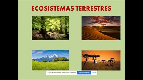 Tipos De Ecosistemas Ll Youtube