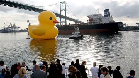Giant Rubber Duck Sails In To La Port Cbc News