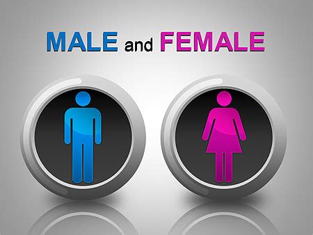 male  female  diagrams chart design id