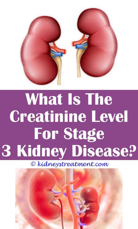 Kidney Failure Symptoms Red Spots Kidausx