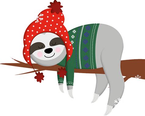 Winter Sloth clipart. Free download transparent .PNG | Creazilla png image