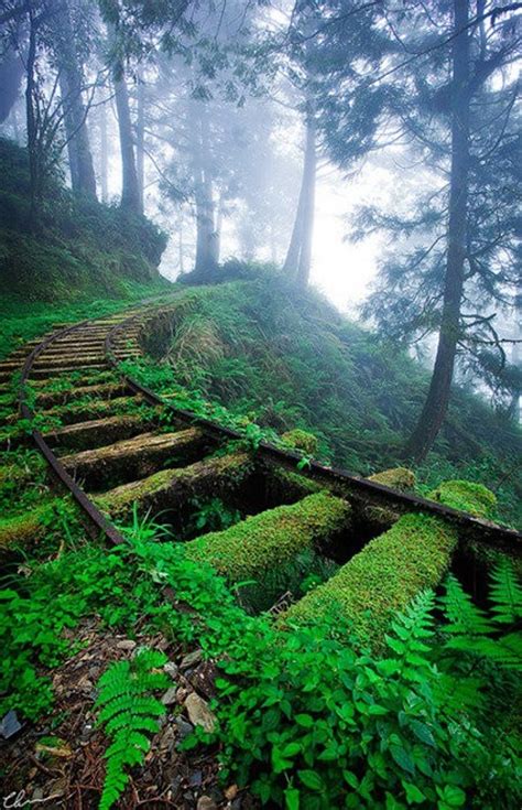 30 Hauntingly Beautiful Abandoned Places Shared By This Reddit