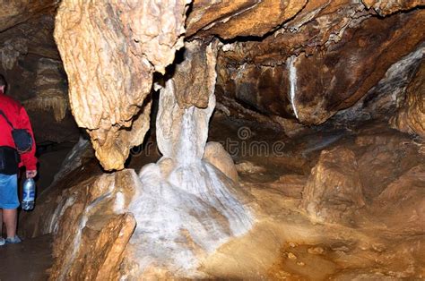 Stalactite Stalagmite Walls Of The Cave Template For Design Editorial