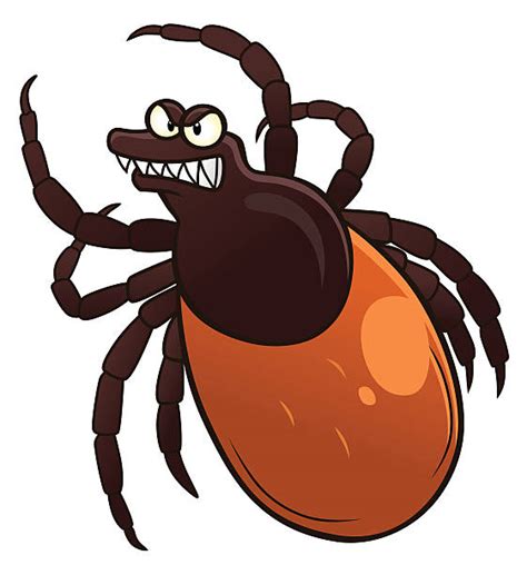 Cartoon Of Insect Illustrations Royalty Free Vector Graphics And Clip