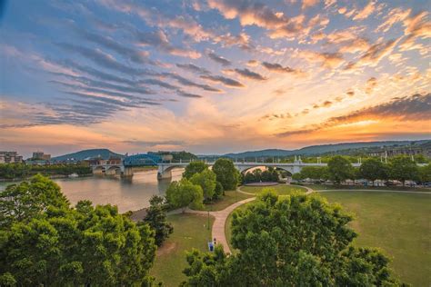 Looking for a puppy or dog in chattanooga, tennessee? 19 Best Free Things to Do in Chattanooga (Tennessee) - All Roads Traveled