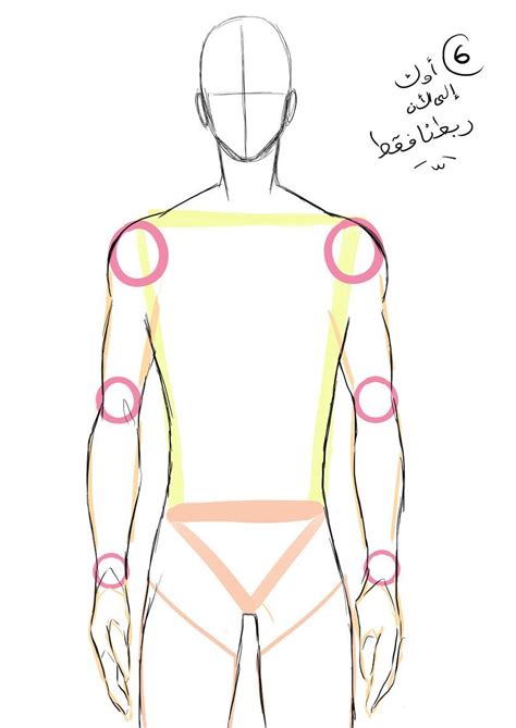 Male Anatomy Reference Anime Drawing The Human Figure Tips For
