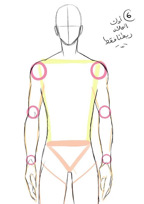 236x358 a collection of anatomy and pose references for artists. Drawing The Human Figure - Tips For Beginners | Male body ...