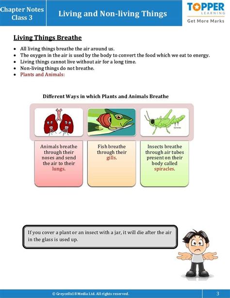Living Things Eat Breathe And Grow Notes Study Material Junior Class
