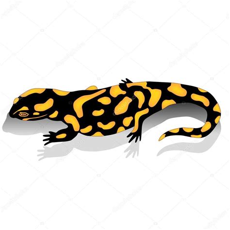 Yellow Salamander Amphibian Stock Vector Struckbarw Gmail Com