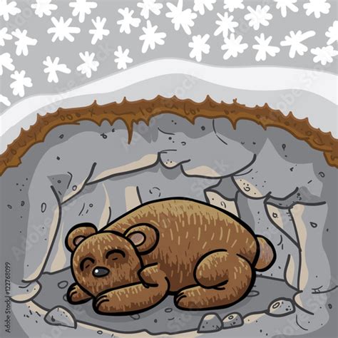 Cute Sleeping Bear In Lair Cave The Season Outside Is Winter High