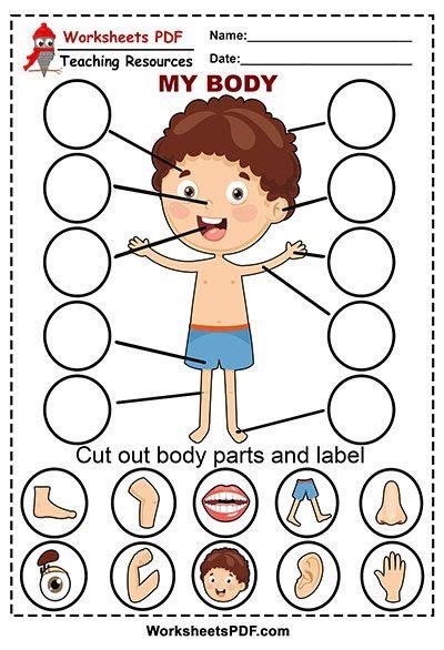 Cut Out Body Parts 1 Body Parts Preschool Body Parts Preschool
