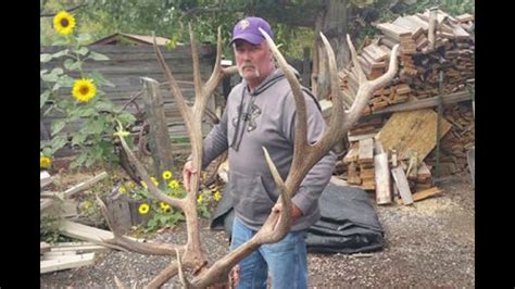 World Record Elk Now On Display Youtube