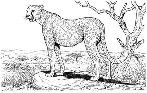 When autocomplete results are available use up and down arrows to review and enter to select. Wild Animals Kids Coloring Pages Free Colouring Pictures ...