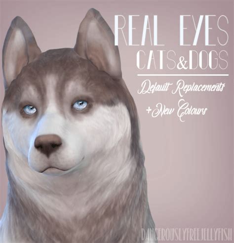 Pet Real Eyes Default Replacements For The Sims 4 Sims 4 Cc Eyes Sims