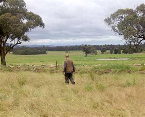 The Winter-Irvings at Coolwoola Plains - Soils For Life