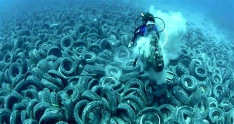 Is This Really Such A Good Idea Tires Strewn About The Ocean Floor Ft
