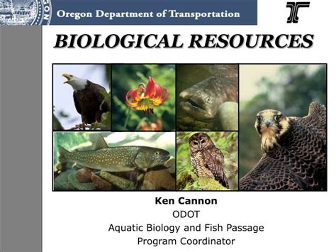 Ppt Biological Resources Powerpoint Presentation Free Download Id