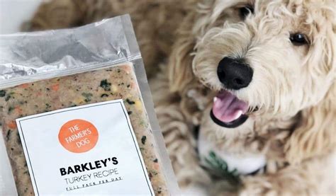 Among the most highly rated dog food subscription services on the market today is the farmer's dog, providing healthy pet food to your doorstep brimming with optimal nutrition within days of being cooked. Patchwork Pet Dog Blog | The Best Fresh Dog Food Delivery ...