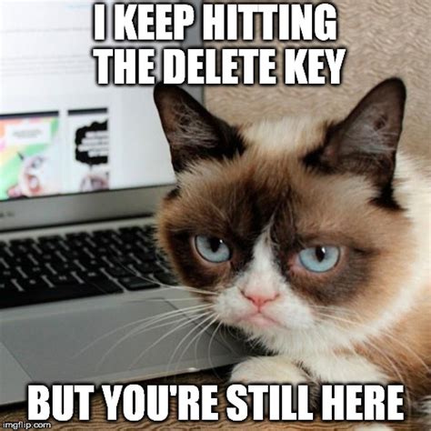 Image Tagged In Grumpy Catdelete Imgflip