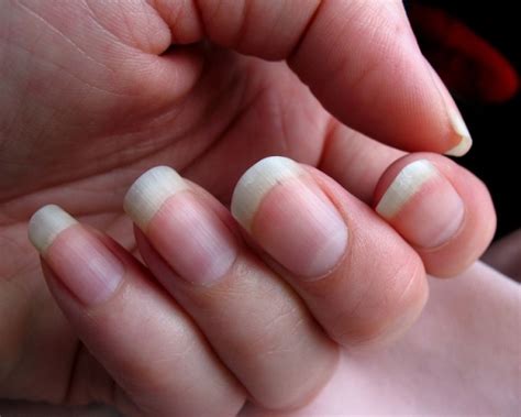 How To Grow Long Fingernails Tips To Grow Long And Strong Fingernails